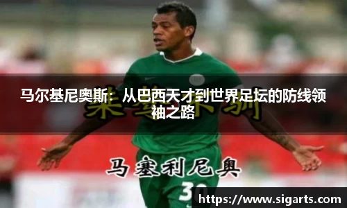 英国正版365官方网站