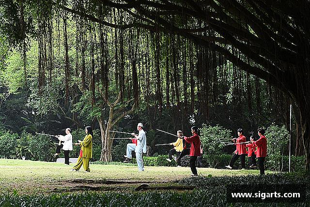 关于英国正版365官方网站